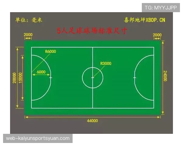 球场尺寸规则：国际赛与业余赛长度宽度标准