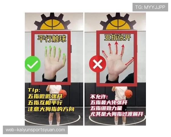 解读球出界判定规则，明确最后触球者与边界线关系及判罚依据